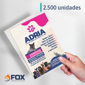 Panfletos Personalizados - 10x14cm - Papel Couchê 80g
